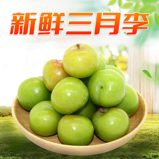 【分仓直发包邮】福建三月李1斤小果（青果、偏酸口感）（约40-50个）（送辣椒盐） 商品图0