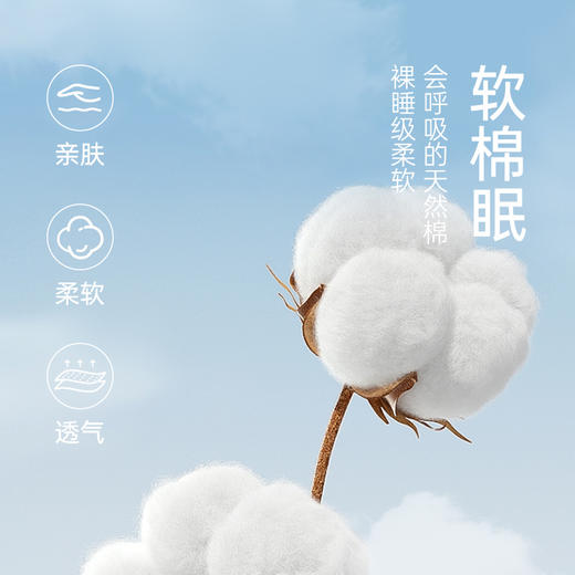 I'd爱帝长绒棉男士睡衣抑菌艾草助眠长袖家居套 商品图1