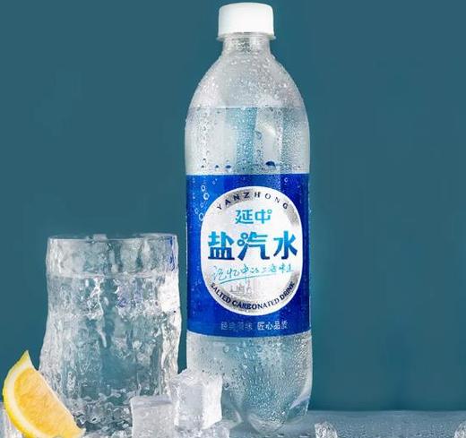 延中盐汽水600ml*20瓶 商品图2