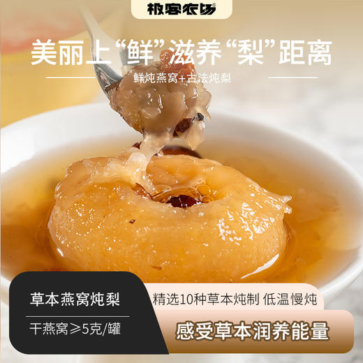 今年最后一批‼️草本燕窝炖梨丨精选10种草本炖制，低温慢炖，每罐≥5g干燕窝，老品种砀山梨会稍微有颗粒感，256g/碗，6碗/箱。⭐️顺丰快递 商品图0