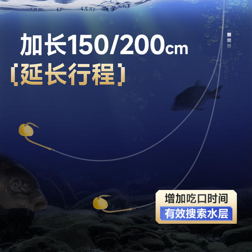 汉鼎草鳊翘金海夕成品子线双钩8付加长行程绑好正品鱼钩子线双钩 商品图4