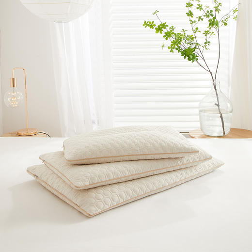 自然醒A类亲子亚麻荞麦枕全荞麦壳枕芯成人低枕家用护颈专用睡眠硬枕XK 商品图3