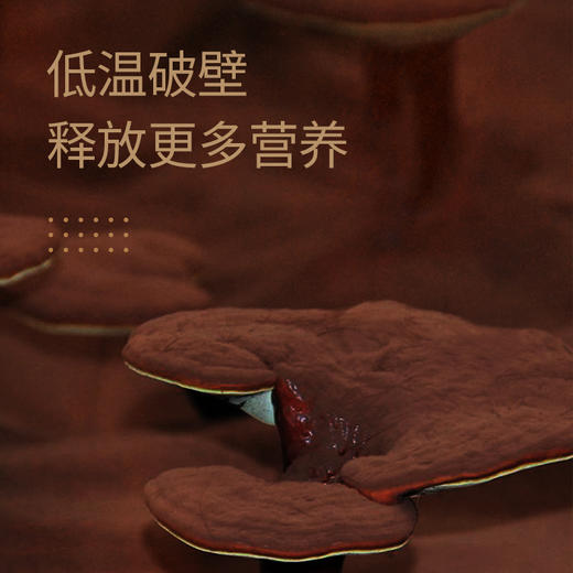 茯济堂有机灵芝孢子粉礼盒装 商品图3