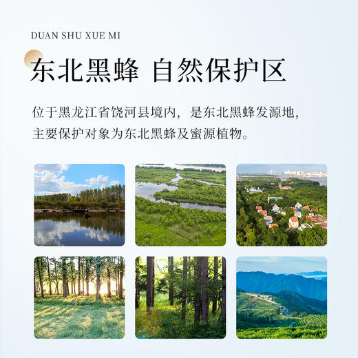 【女神节】恒寿堂 椴树雪蜜 1000g/1000g*2 商品图6