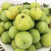 【分仓直发包邮】福建三月李1斤小果（青果、偏酸口感）（约40-50个）（送辣椒盐） 商品缩略图4