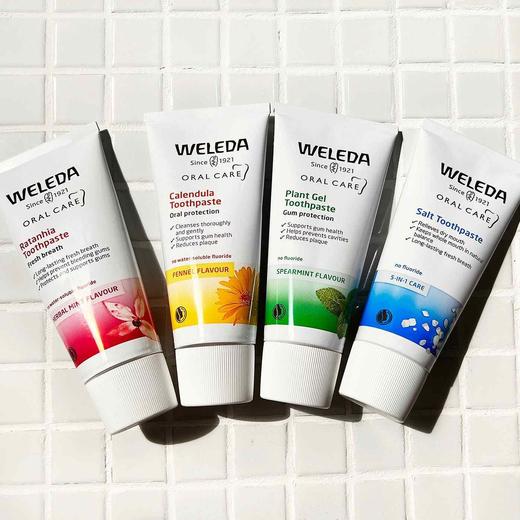 【保税仓】WELEDA维蕾德秘鲁灌木牙膏75ML 商品图1