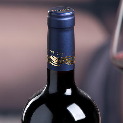 傲鱼尊蓝R4赤霞珠红葡萄酒750ML瓶*1瓶（无礼盒）100%智利原瓶进口【XPTX】 商品图6