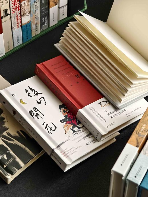 2024年十大好书口袋笔记本本【内页为空白本】 商品图4