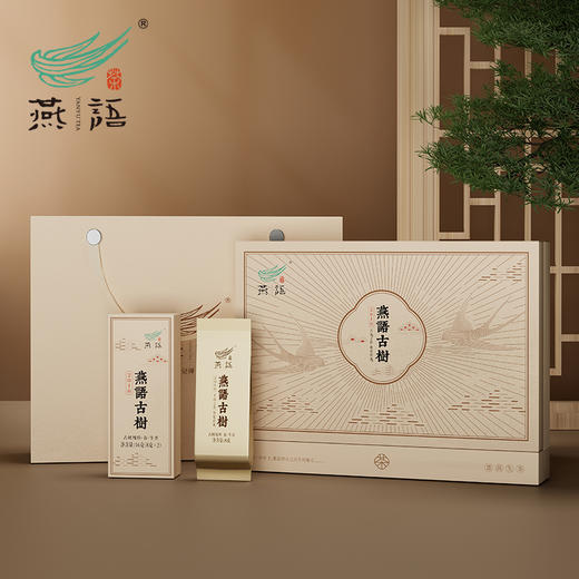 2016年燕语古树(普洱生茶)礼盒48g 商品图0