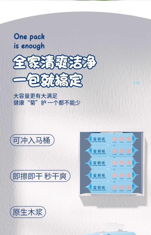 丽邦湿厕纸80片 商品图1