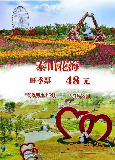 【随订随用】泰山花海 商品图0