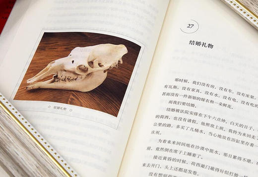 三毛：我的宝贝 我用很少很少的钱 买了很大很大的快乐 焕新装帧 图文全彩 送宝贝书签 商品图9