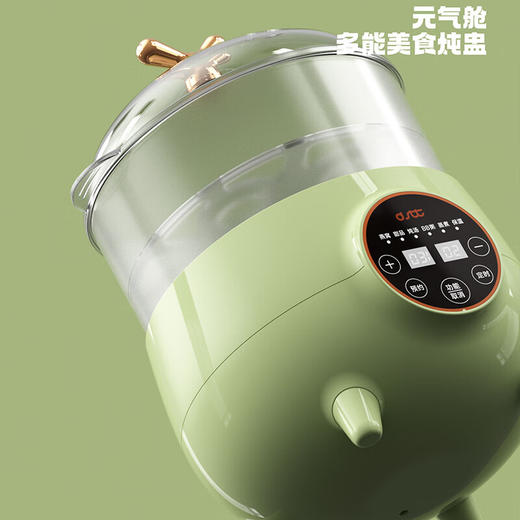 都市太太DSTT元气满满多能美食电炖盅_1L 商品图2