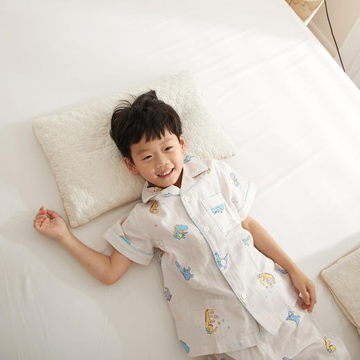 自然醒A类亲子亚麻荞麦枕全荞麦壳枕芯成人低枕家用护颈专用睡眠硬枕XK 商品图11