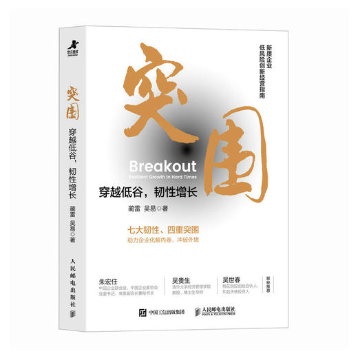 突围：穿越低谷，韧性增长 管理者创业者提升业绩企业逆境突围战略规划数字化转型经营书籍 商品图4