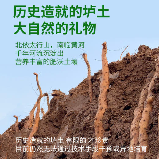 【张宝山有机铁棍山药片】  无硫熏工艺  全片带皮留营养 商品图3