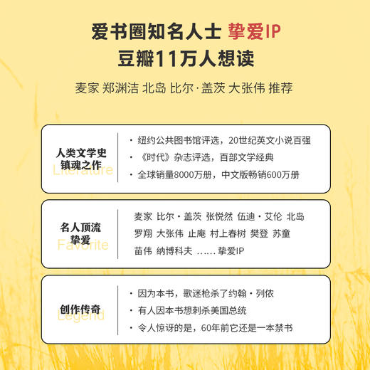 麦田里的守望者：中英双语版 商品图1