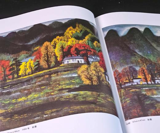 《二十世纪中国西画文献：林风眠》+《巨匠 园丁：林风眠》，32开+16开，平装，王骁主编，文化艺术出版社2010年一版一印，分别定价88、128，分别售价：35,48元。 商品图10