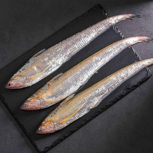 冰鲜丨海刀鱼 250g/3条 老饕心头好 鳞片全 鲜度高 弱骨柔肌 鳞如细浪 商品图1