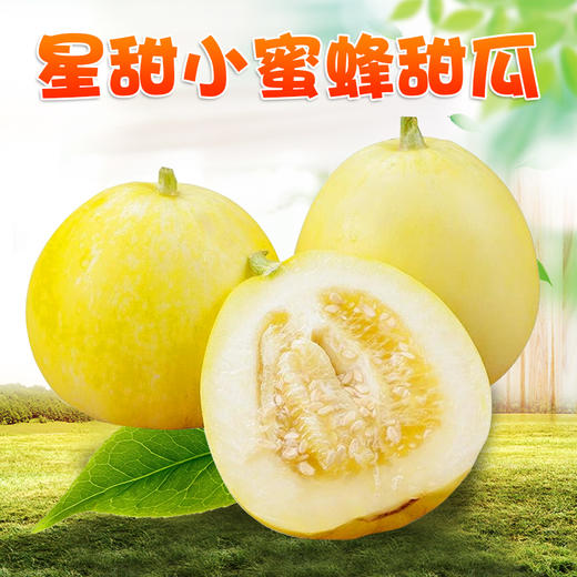 【分仓直发包邮】星甜小蜜蜂甜瓜 （表皮黄白色）3斤（3-7个） 商品图0
