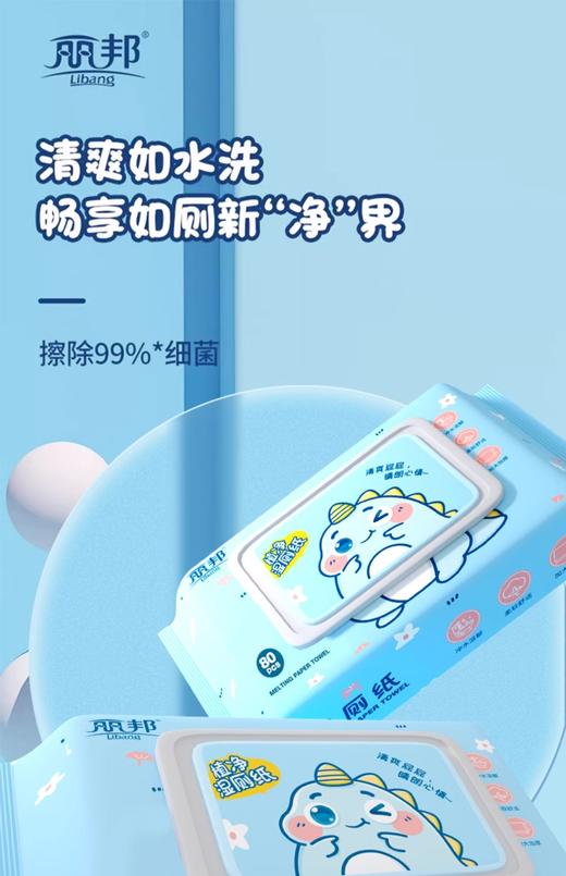 丽邦湿厕纸80片 商品图2