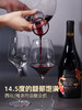 傲鱼尊蓝R5西拉梅洛混酿红葡萄酒750ML*1瓶（无礼盒）100%智利原瓶进口【XPTX】 商品缩略图1