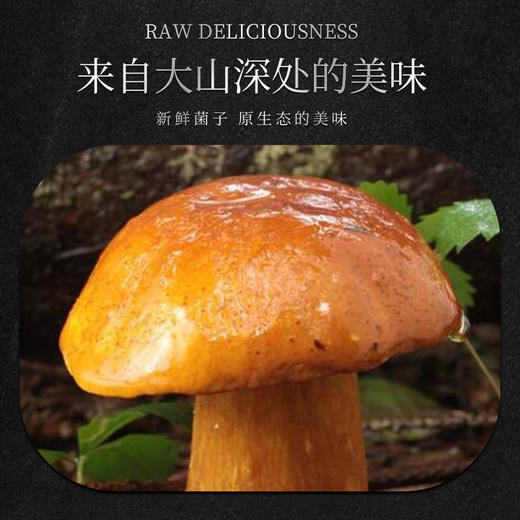 林端上品 鲜制云南野生菌 云南野生菌B套装礼盒 商品图4