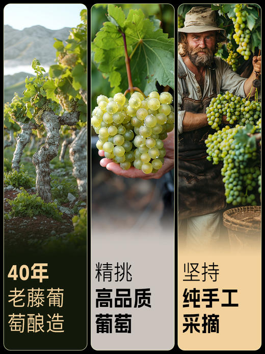 傲鱼海底盛放莫斯卡托甜白起泡酒750ML-1瓶（无礼盒）100%智利原瓶进口【XPTX】 商品图2