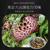 林端上品 鲜制云南野生菌 云南野生菌B套装礼盒 商品缩略图3