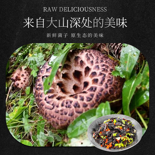 林端上品 鲜制云南野生菌 云南野生菌B套装礼盒 商品图3