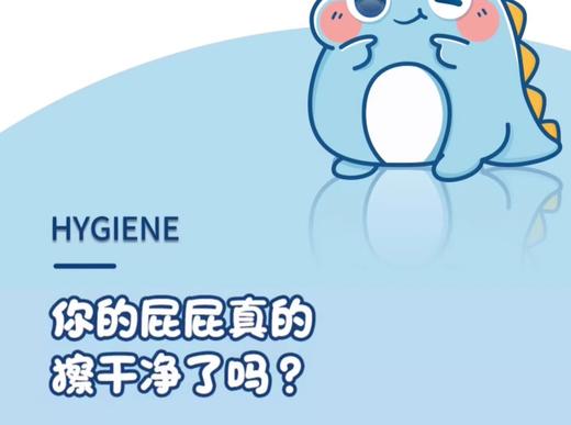 丽邦湿厕纸80片 商品图3