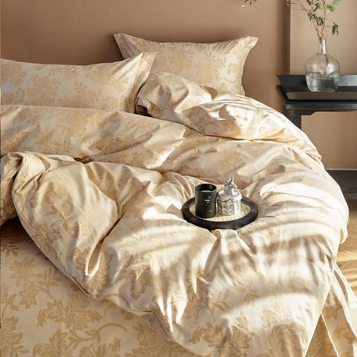 经典大提花四件套【被套：200*230cm   床单：230*250cm床单+枕套一对】 商品图8