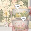 「两碗两勺！数款可选」可爱饭碗加厚网红高颜值陶瓷碗米饭碗套装组合餐饮用具 商品缩略图0