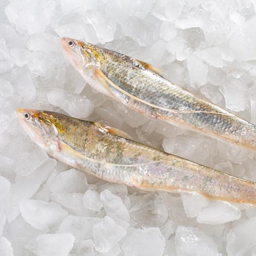 冰鲜丨海刀鱼 250g/3条 老饕心头好 鳞片全 鲜度高 弱骨柔肌 鳞如细浪 商品图2