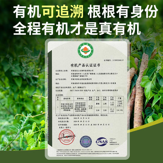 【张宝山有机铁棍山药片】  无硫熏工艺  全片带皮留营养 商品图4