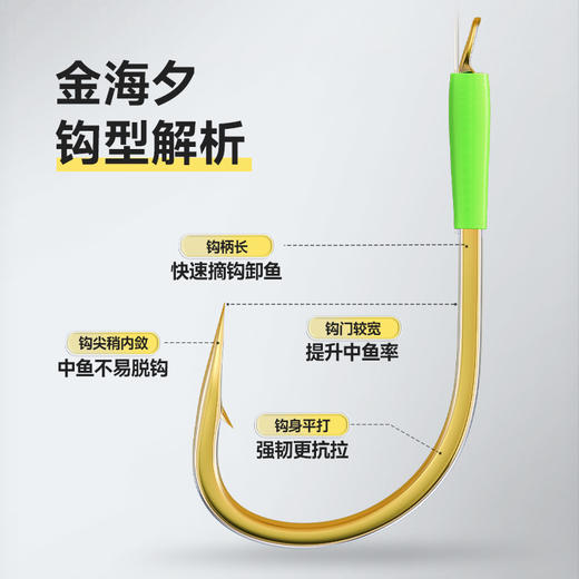 汉鼎无结金海夕子线双钩翘嘴鳊鱼鲫鱼物加长子线双钩成品子线双钩 商品图1