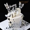 1027CAKE |    蝴蝶月亮  灰色系 商品缩略图2