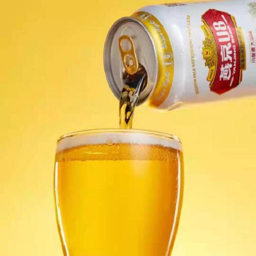 燕京U8优爽小度特酿啤酒 8°P听装 500ml*1 商品图3