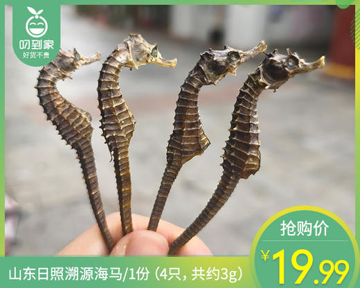 山东日照溯源海马/1份（4只，共约3g）生产日期：12年1日左右 商品图0