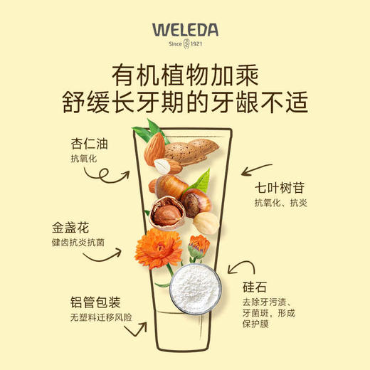 【保税仓】WELEDA维蕾德金盏花儿童牙膏50ML 商品图2