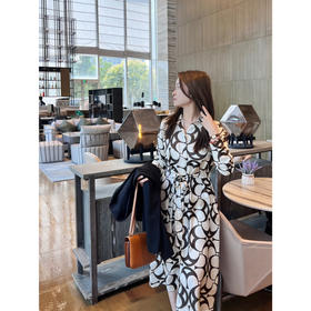 2503403  max 真丝印花连衣裙 25新品