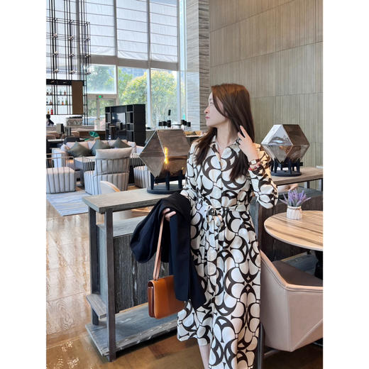 2503403  max 真丝印花连衣裙 25新品 商品图0