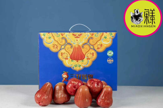 【有机】三亚南鹿莲雾（口感天花板）礼盒1.5kg装 商品图5