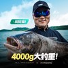 汉鼎全能战plus小锥度大综合竿鲢鳙竿超轻超硬手杆台钓竿钓鱼鱼竿 商品缩略图2
