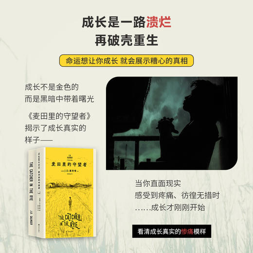麦田里的守望者：中英双语版 商品图4