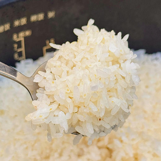 初方有机长粒香胚芽米 东北黑土地当季稻谷现磨口感绵软真空米砖2.5kg/袋 商品图5