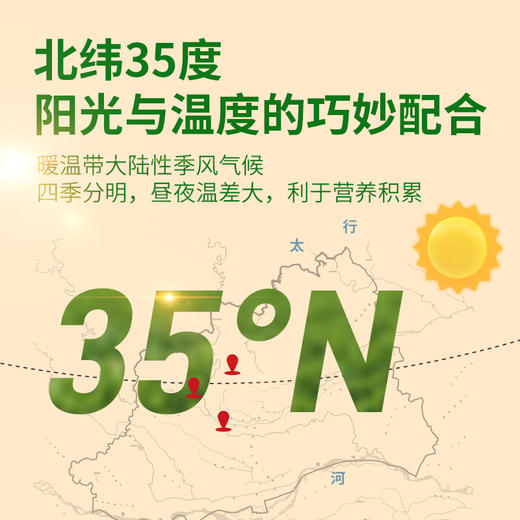 【张宝山有机铁棍山药片】  无硫熏工艺  全片带皮留营养 商品图2