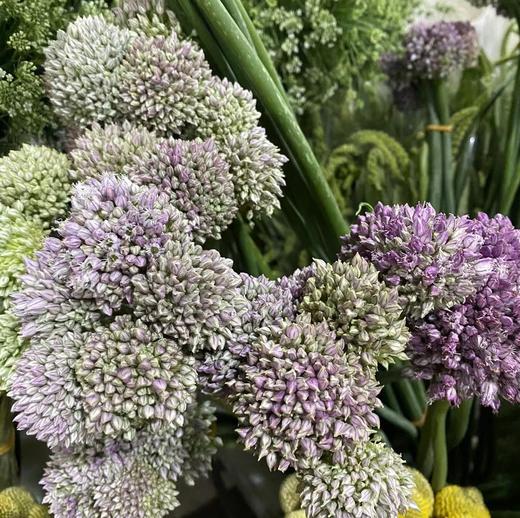 配花 | 葱花粉色 商品图0