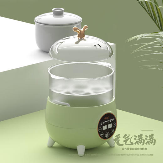 都市太太DSTT元气满满多能美食电炖盅_1L 商品图1