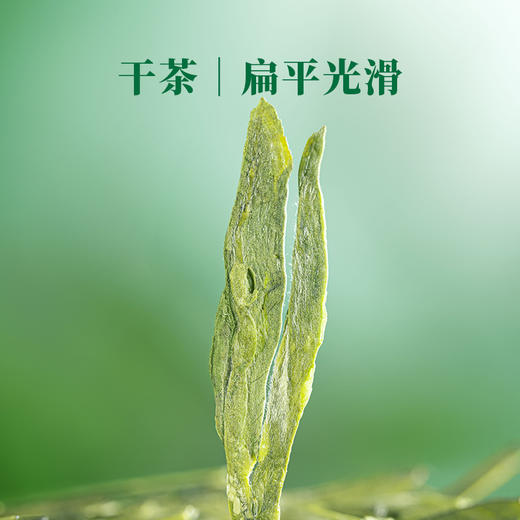 【2026年春茶】八马茶业 | 马到成功★★★★★·明前龙井茶216g 商品图5